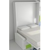 Cama Abatible Vertical con Sofá y Estante Sincronizado