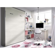 Dormitorio juvenil formado por cama abatible matrimonial, escritorio y estantes
