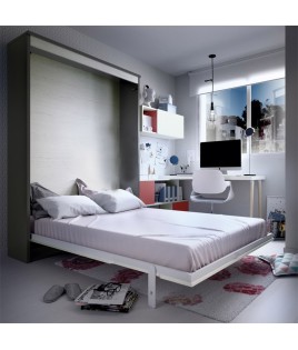 Dormitorio juvenil formado por cama abatible matrimonial, escritorio y estantes