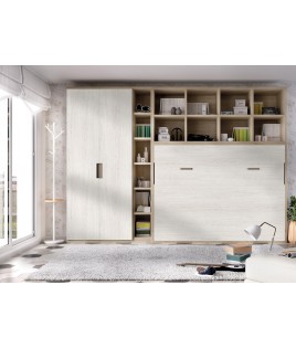 Dormitorio juvenil formado por cama abatible matrimonial con estantería superior y armario