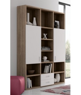 Dormitorio juvenil formado por Litera abatible con escritorio y mueble estantería