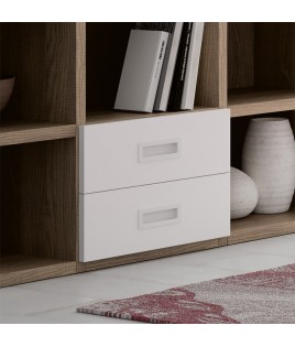 Dormitorio juvenil formado por Litera abatible con escritorio y mueble estantería