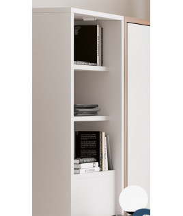 Librería con mesa de estudio abatible