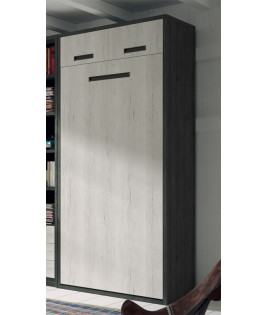 Dormitorio juvenil formado por 2 camas abatibles verticales con altillo y estantería central