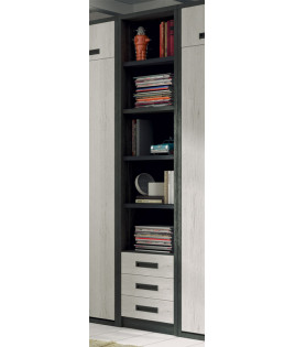 Dormitorio juvenil formado por 2 camas abatibles verticales con altillo y estantería central