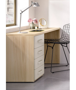 Dormitorio juvenil formado por cama abatible, escritorio y estantería Ref CAYC401