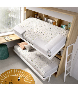 Pack Litera Abatible Horizontal y Colchones