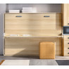 Cama Abatible Horizontal con escritorio