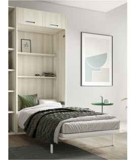 Dormitorio juvenil formado por 2 camas abatibles verticales con altillo y armario