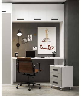 Dormitorio juvenil formado por cama abatible vertical con altillo, puente, armario y escritorio