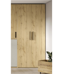 Dormitorio juvenil formado por cama abatible con armario superior, armario y escritorio