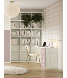 Dormitorio juvenil formado por cama abatible con armario superior, librería y escritorio