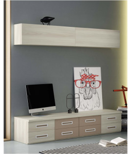 Dormitorio juvenil formado por cama abatible con estantería superior y módulos de salón