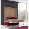 Cama Abatible Vertical con Sofá
