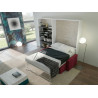 Cama Abatible Vertical con Sofá Chaiselongue