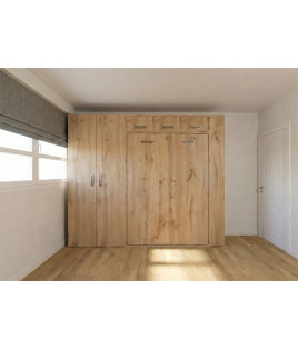 Dormitorio juvenil formado por cama abatible matrimonial con altillo, armario y módulo terminal con estantes